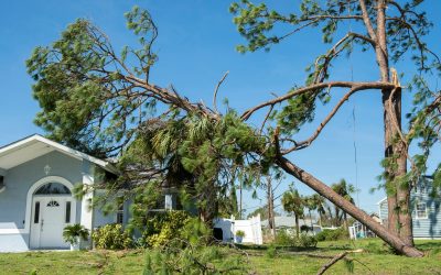Storm & Emergency Electrical Services in the Grand Strand